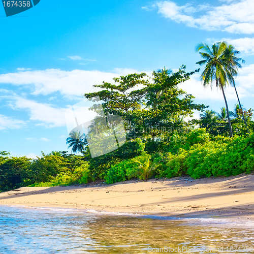 Image of Tropical Beach