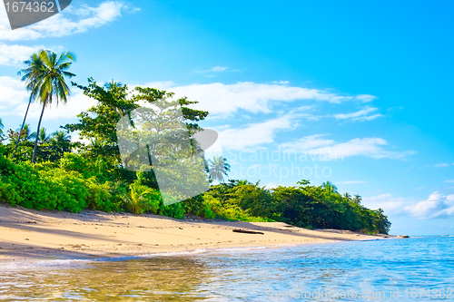 Image of Tropical Beach