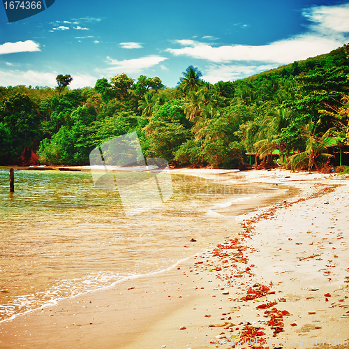 Image of Tropical Beach