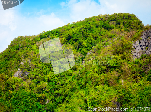 Image of Thai Mountains