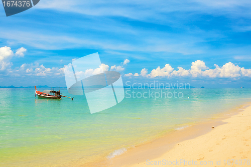 Image of Tropical Beach