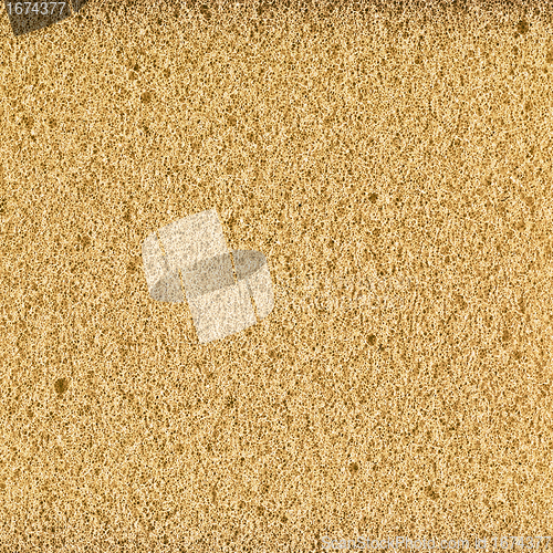 Image of foam rubber texture