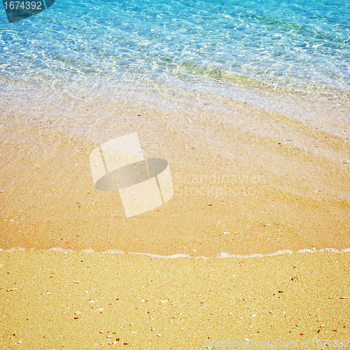 Image of Tropical Beach