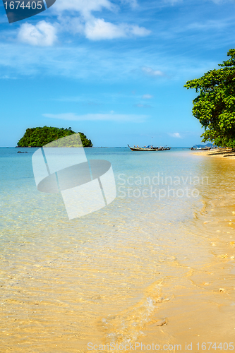 Image of Tropical Beach