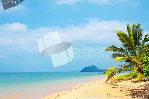 Image of Tropical Beach
