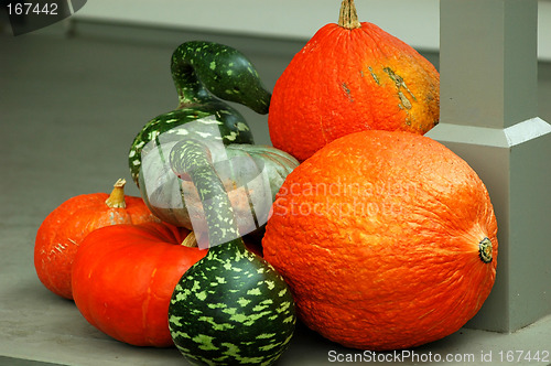 Image of pumpkins