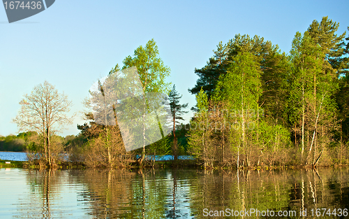 Image of Forest on a Lake