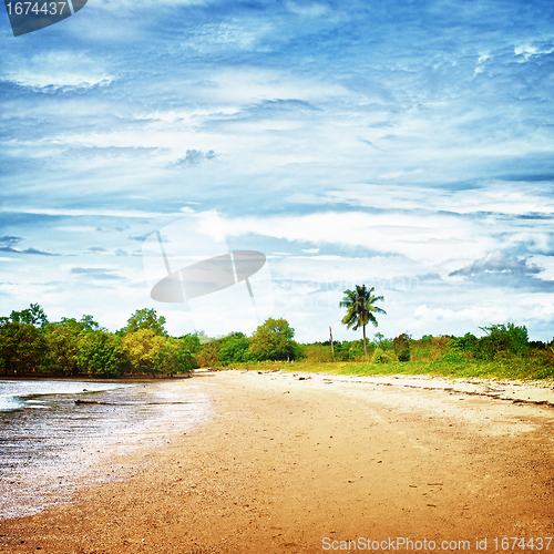 Image of Sunny Beach