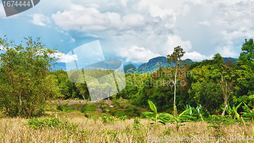 Image of Thai Landscape