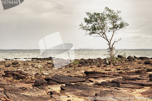 Image of Rocky Shore