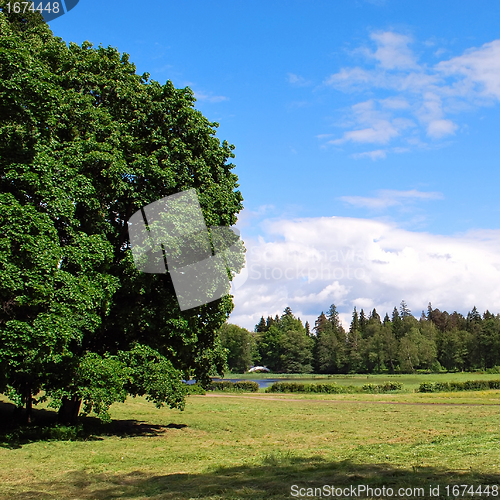 Image of summer landscape