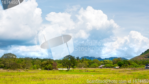 Image of Thai Landscape
