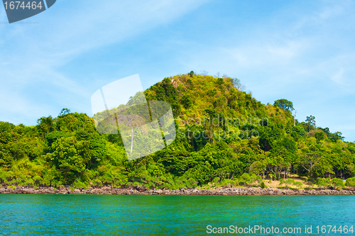 Image of Andaman Shore