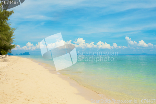 Image of Tropical Beach