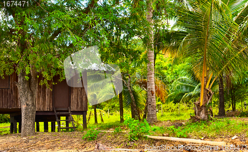 Image of Hut in Jungle