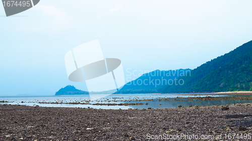 Image of Andaman Shore