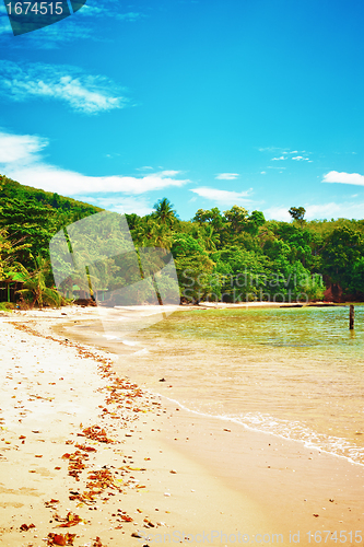 Image of Tropical Beach
