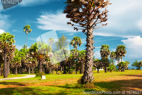 Image of Jungle Park