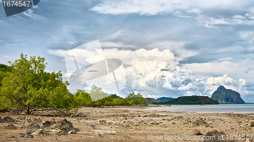 Image of Tropical Beach