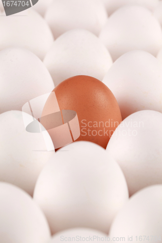 Image of Lonesome egg