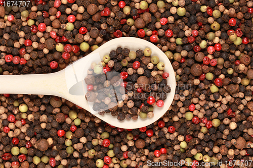 Image of Colorful pepper