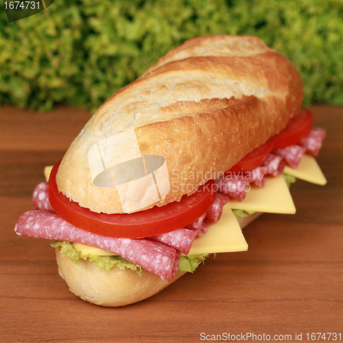 Image of Salami Sandwich