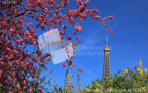 Image of Parisian Spring
