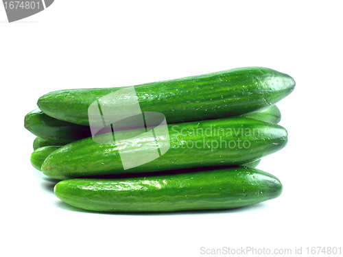 Image of Fresh Cucumber
