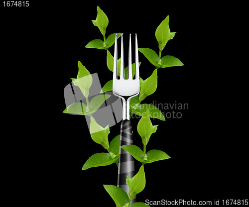 Image of green leaves around Fork 