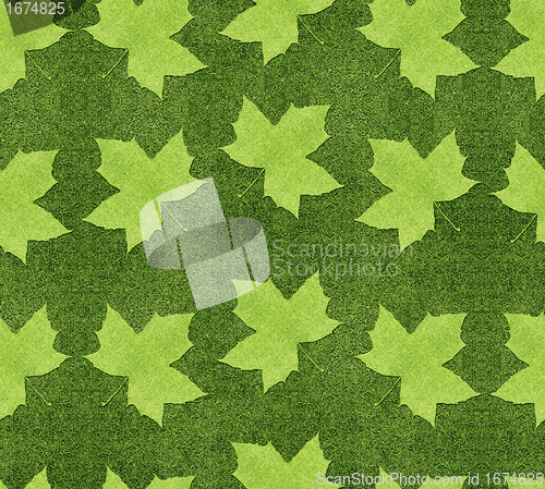 Image of Green leaves