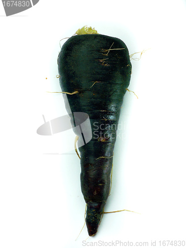 Image of fresh black carrots