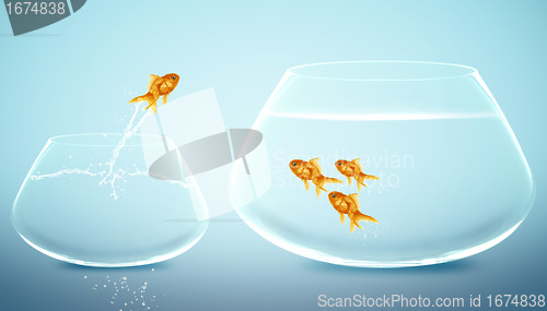 Image of goldfish jumping into bigger fishbowl