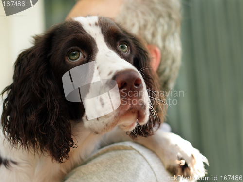 Image of Man and his dog