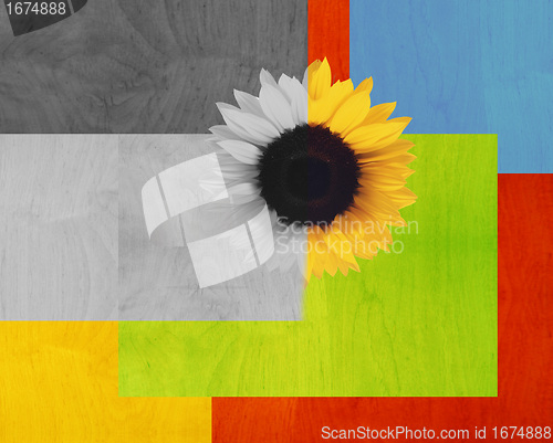 Image of Abstract Background