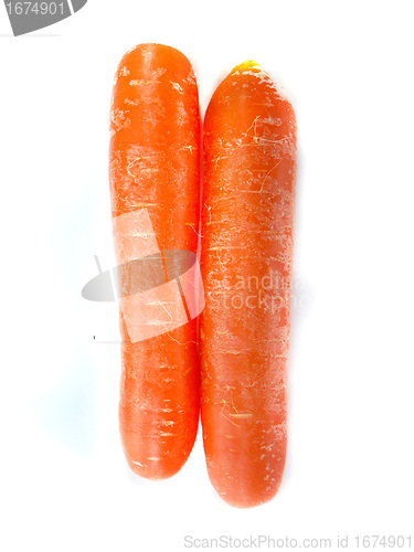 Image of fresh orange carrot