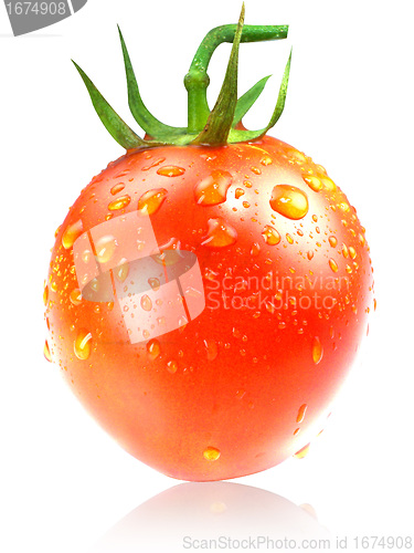 Image of Fresh Red tomatoes