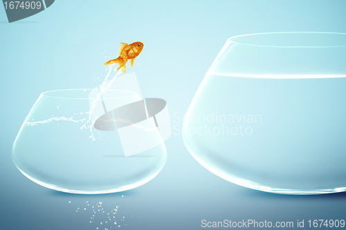 Image of goldfish in small fishbowl watching goldfish jump into large fis