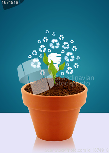 Image of Ecological awareness concept
