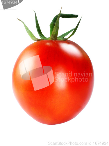 Image of Fresh Red tomatoes