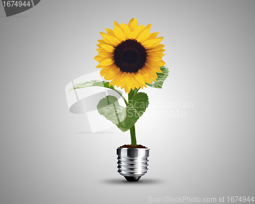 Image of light bulb concept