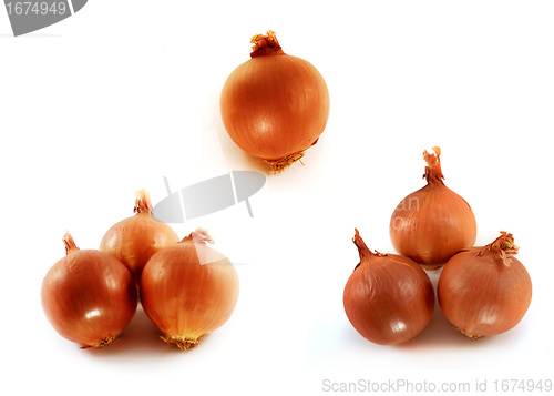 Image of onion