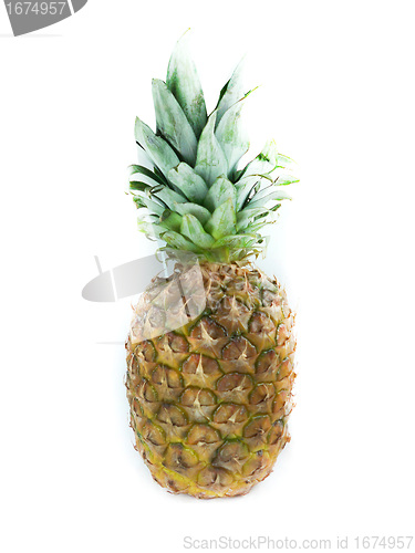 Image of Fresh pineapple