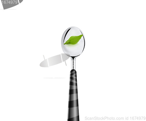 Image of green leaf and spoon 