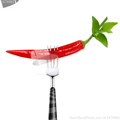 Image of red hot chili pepper