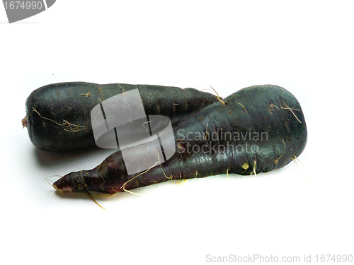 Image of fresh black carrots