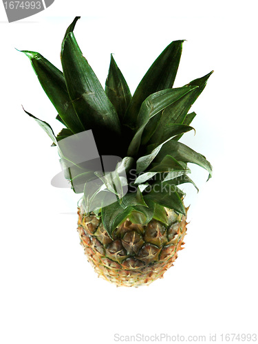 Image of Fresh pineapple