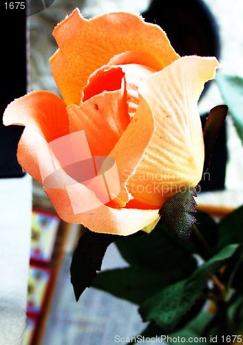 Image of Paper flower