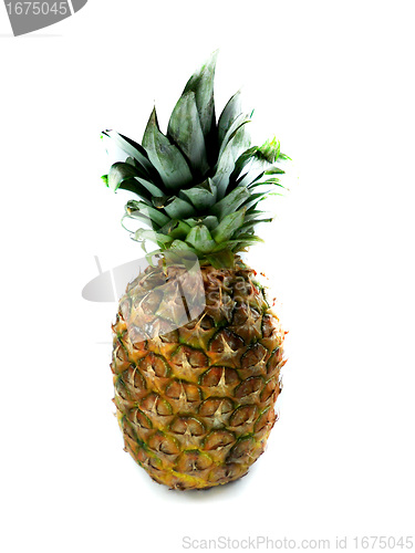 Image of Fresh pineapple