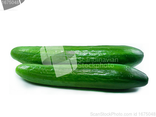 Image of Fresh Cucumber