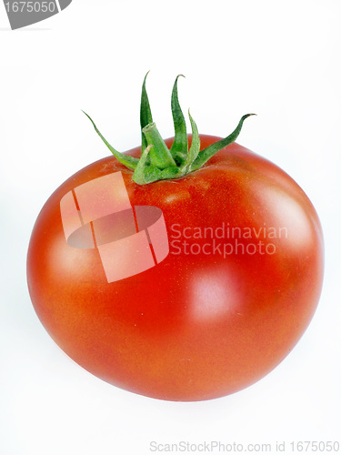 Image of Fresh Red tomatoes